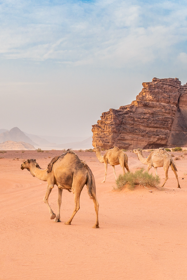 Wadi Rum