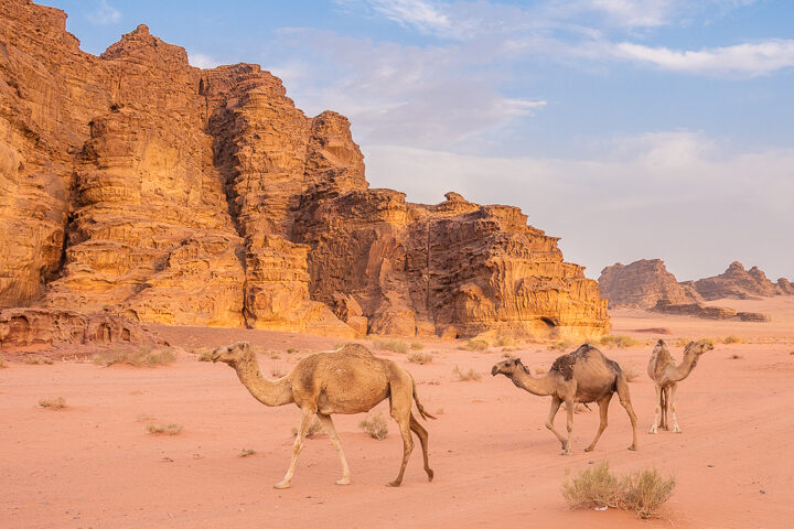 Wadi Rum