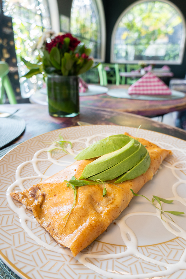 Enchilada with Avocado