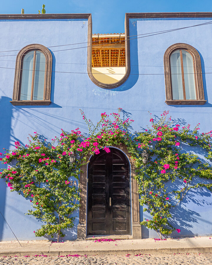 Blue house with pink flowers in San Miguel de Allende