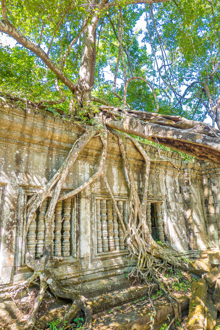 Beng Mealea Temple Cambodia