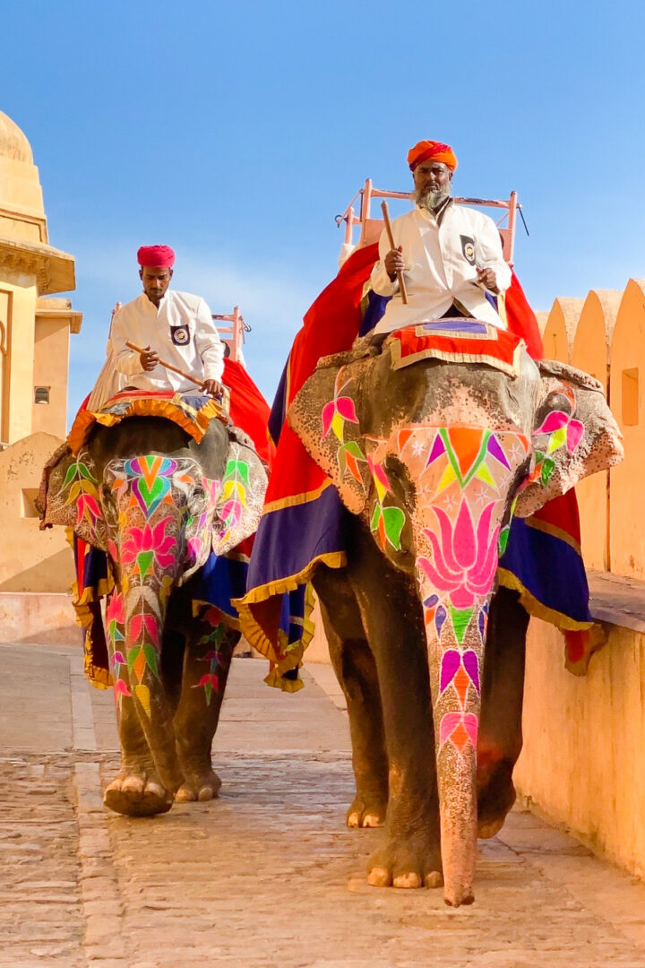 Colorful elephants walking along a path at Amber Palace.