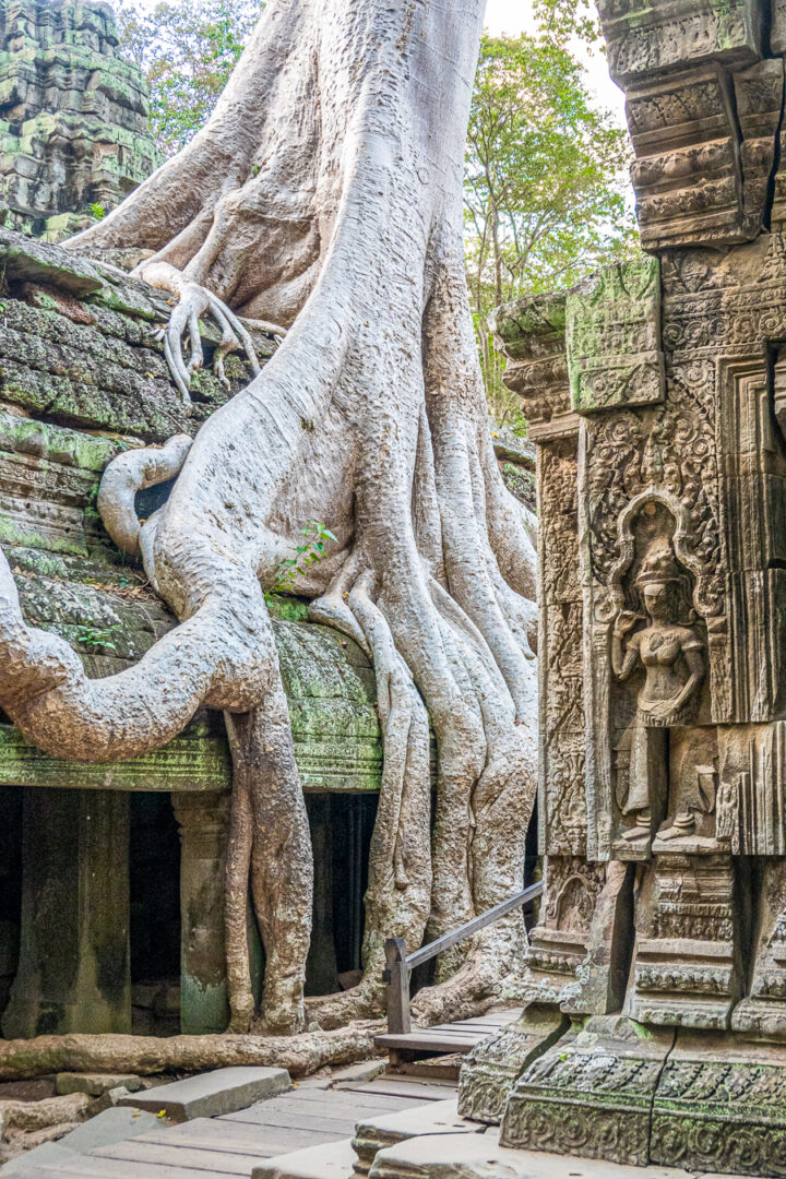 Ta Prohm Tomb Raider Location