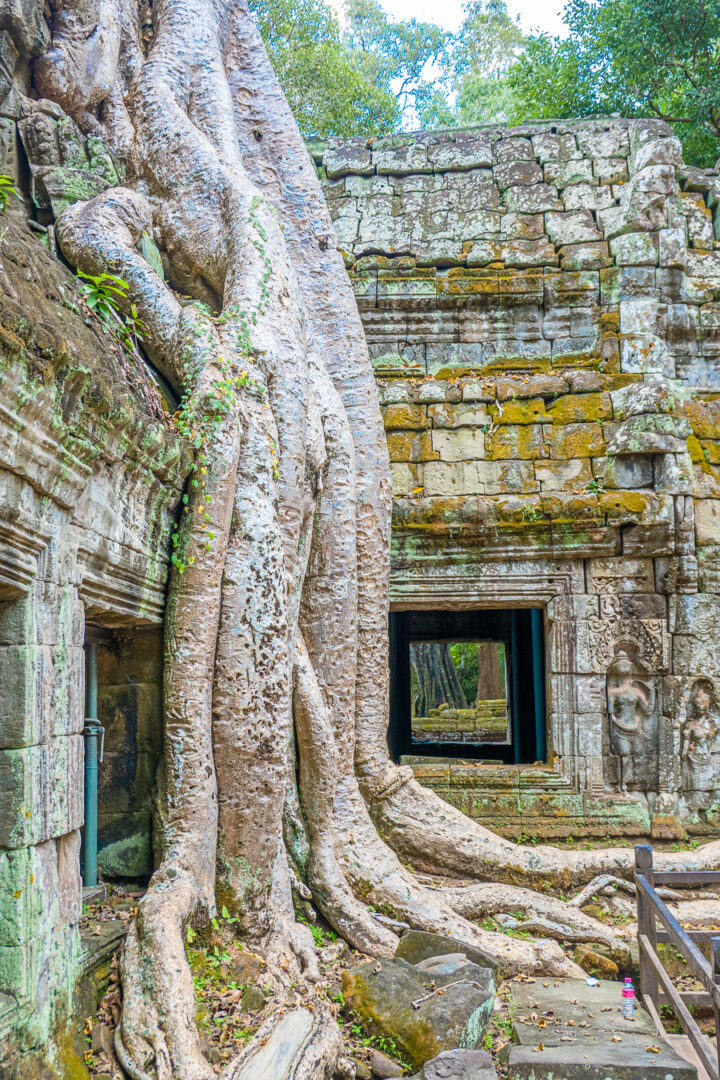 Ta Prohm Tomb Raider Location