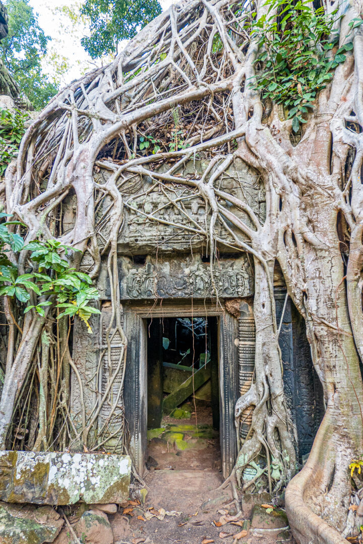 Ta Prohm Tomb Raider Location