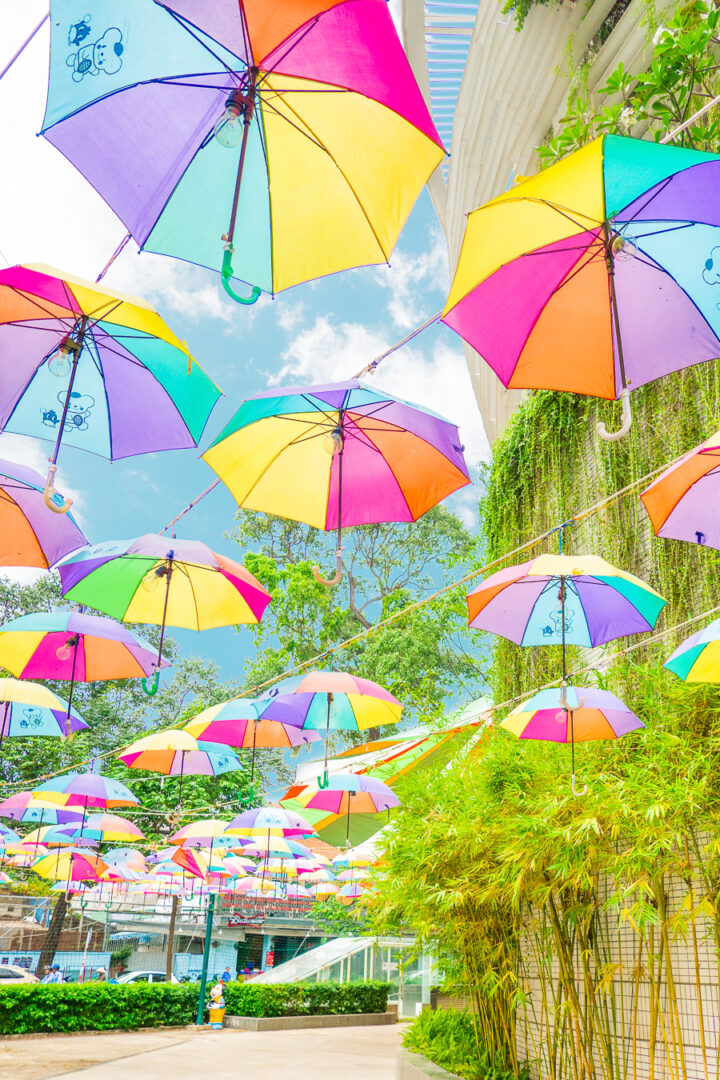 see Umbrella Street while visiting Vietnam