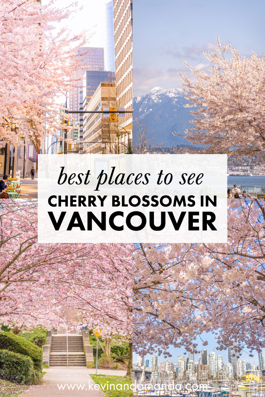 5 Best Places to See Cherry Blossoms In Vancouver Canada