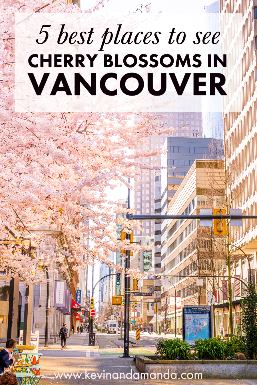 5 Best Places To See Cherry Blossoms In Vancouver Canada