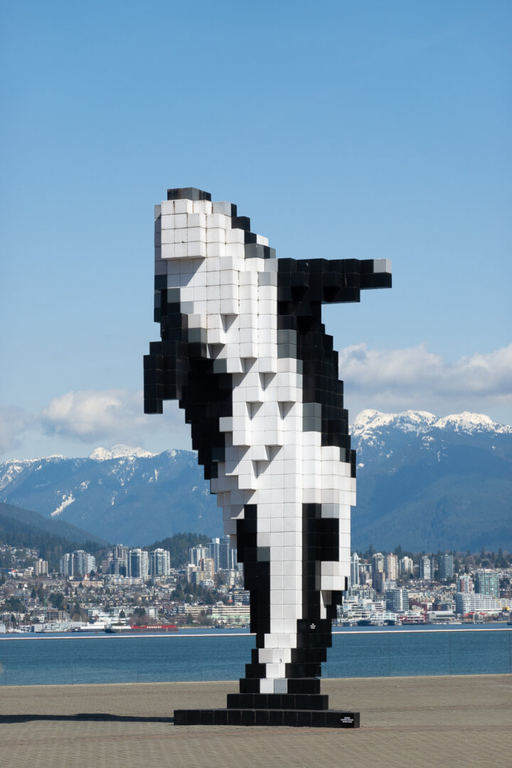Digital Orca with snow capped mountains in background