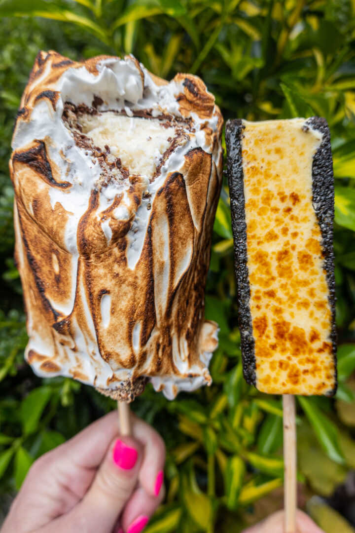 Ice cream sandwiches with toasted marshmallow on the outside