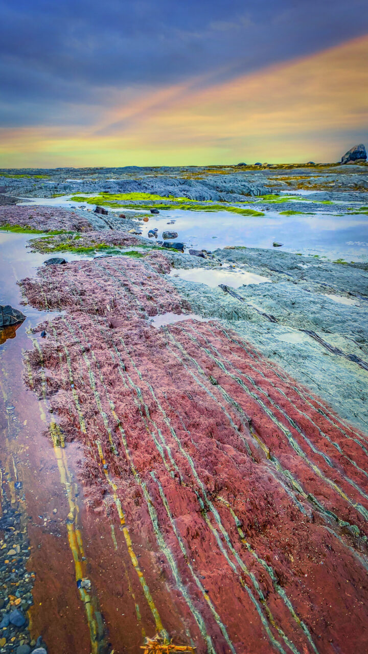 colorful red rocks on the beach in Gaspesie at sunset