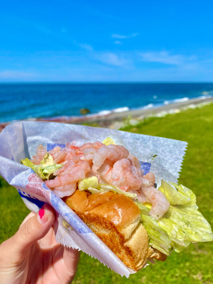 shrimp roll on the beach in Gaspesie