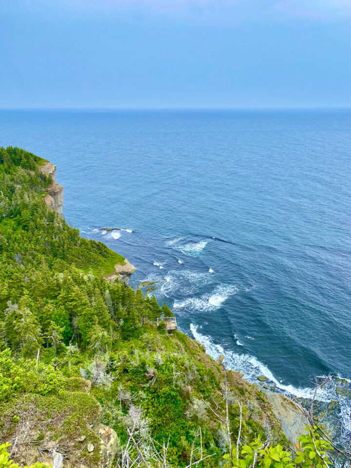 View of the cliffs on the Cap Gaspe hike in Forillon National Park