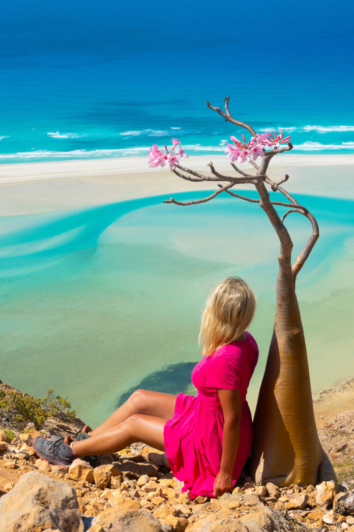 Bottle tree on Socotra Island with pink blooms and turquoise blue water background with a girl in a pink dress