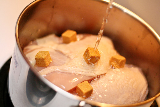 Easy Chicken and Dumplings Recipe with Bisquick Dumplings